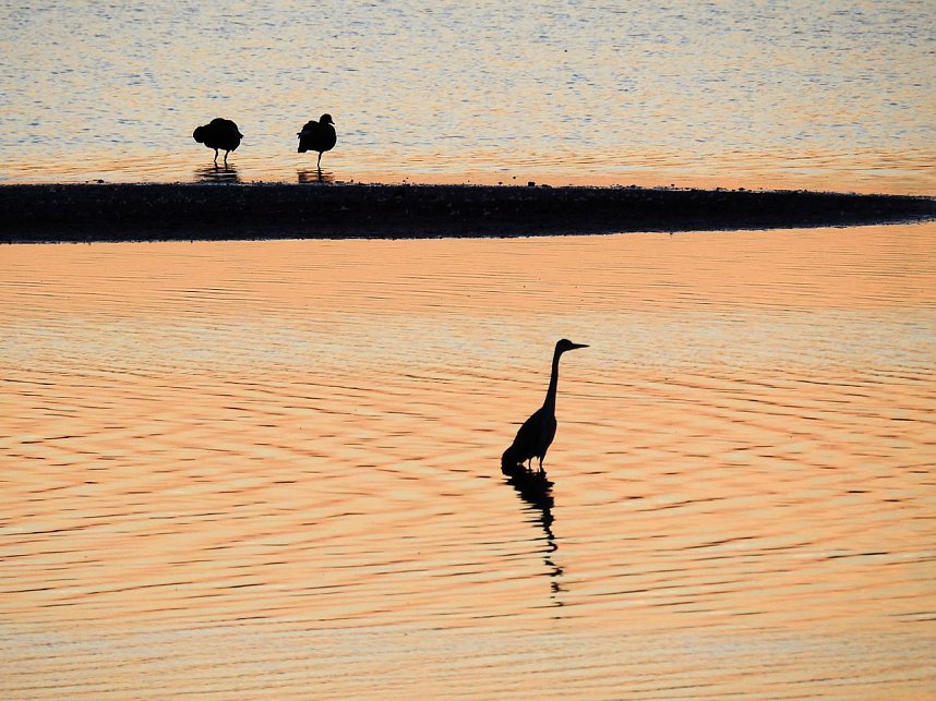 Die Vorboten flogen an