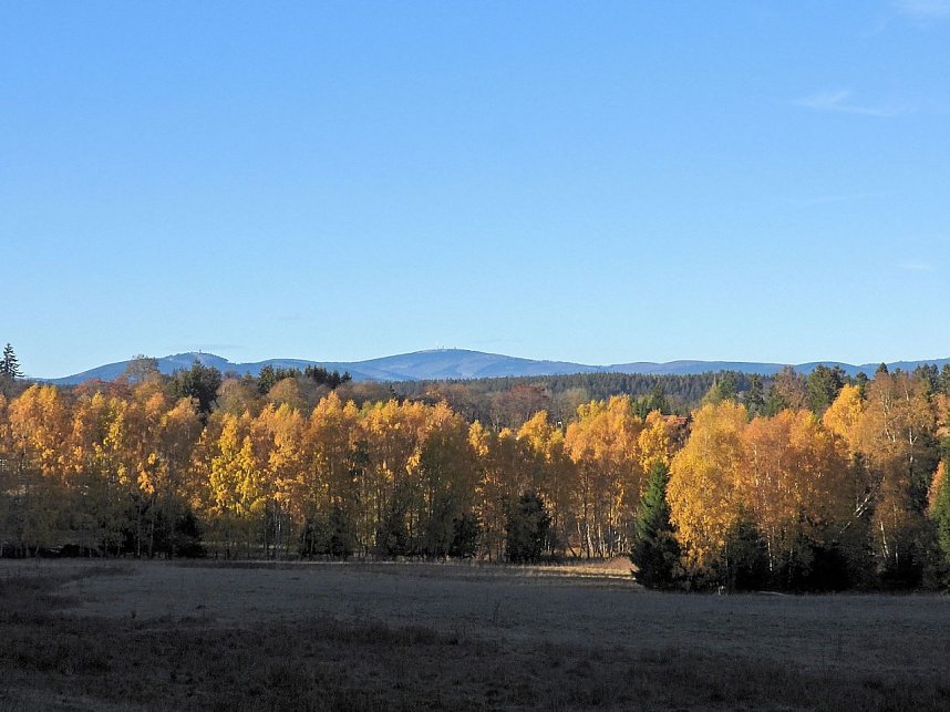 Herbst im Harz
