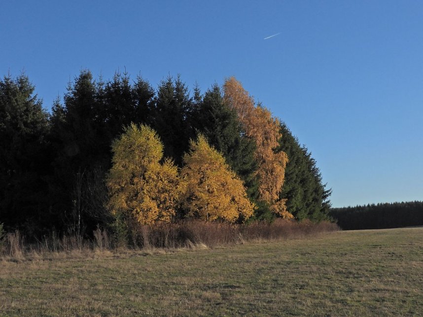 Herbst im Harz