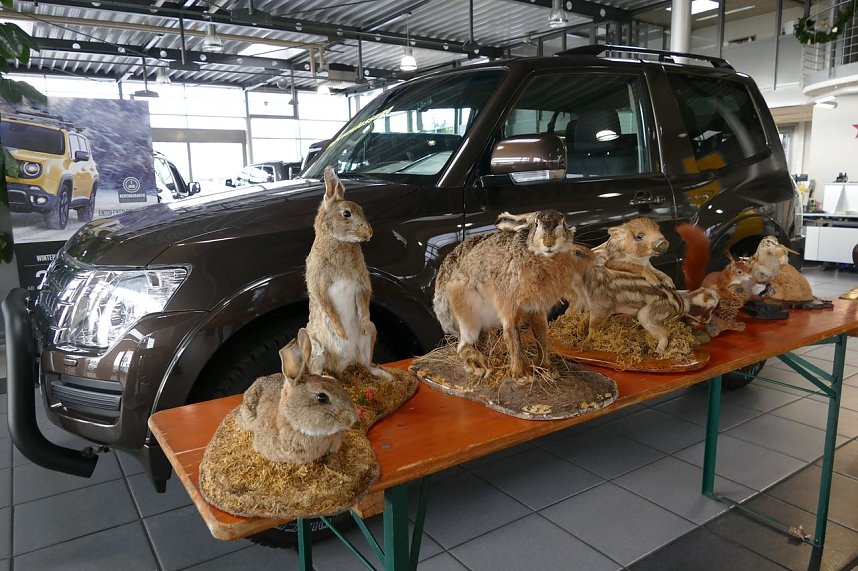 Neues Autohaus er&ouml;ffnet