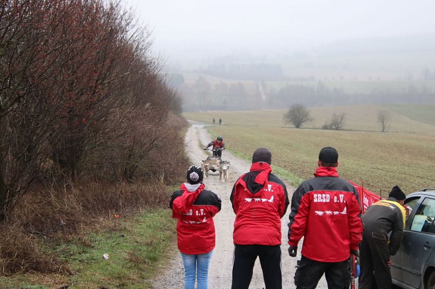 Hundeschlittenrennen in Pullman City