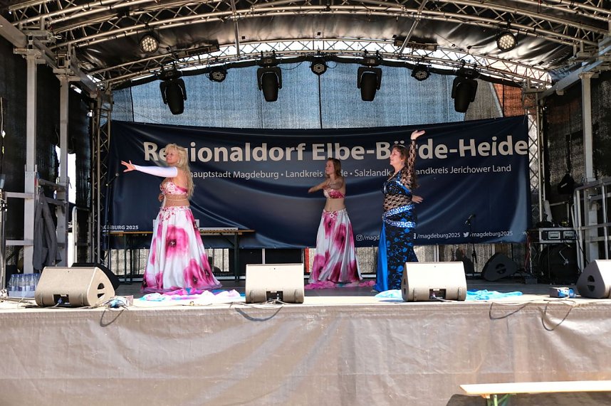 Sachsen-Anhalt-Tag in Quedlinburg