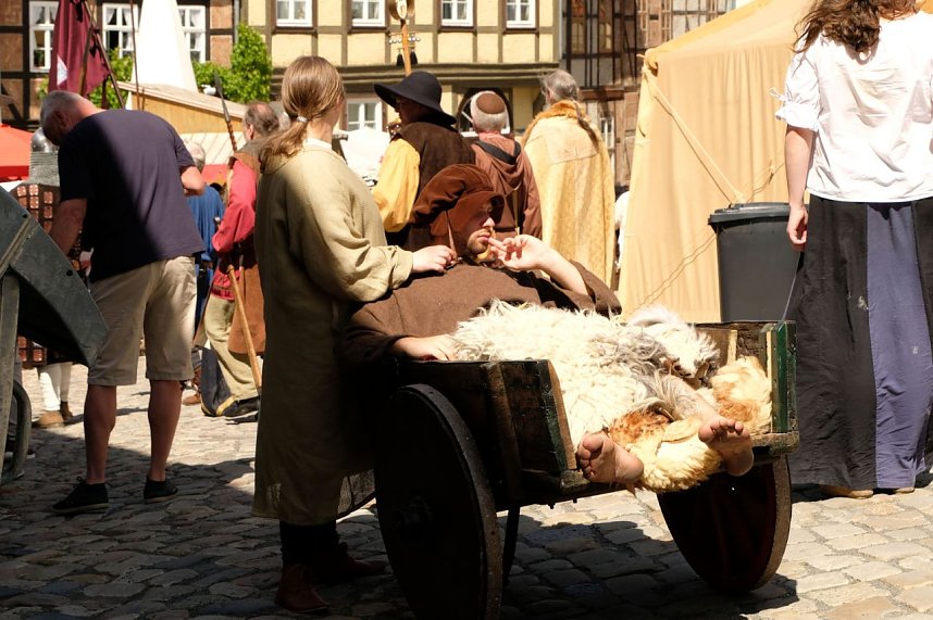 Sachsen-Anhalt-Tag in Quedlinburg