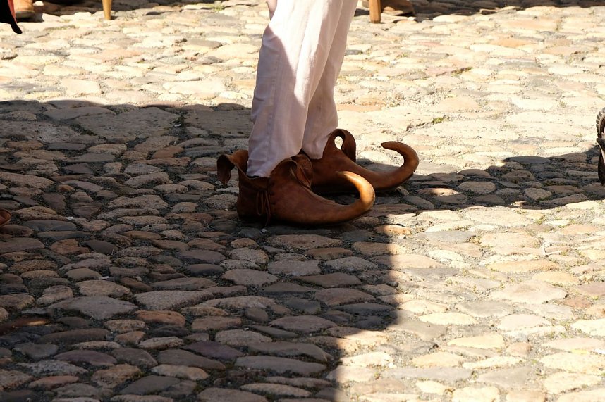 Sachsen-Anhalt-Tag in Quedlinburg