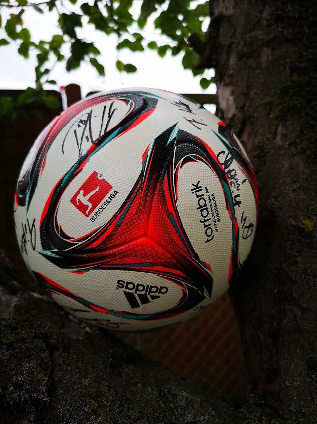 Auktion f&uuml;r Projekt