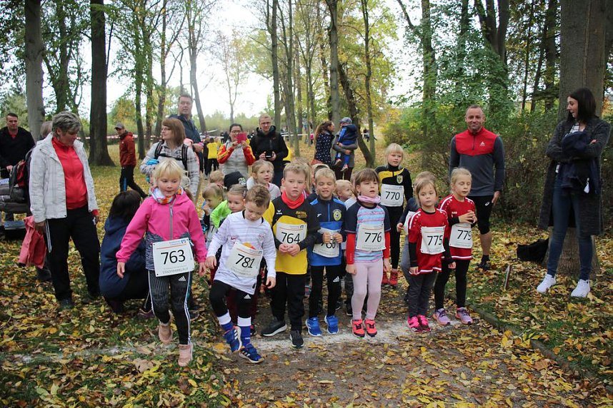 26. Stadtparklauf Sondershausen und...