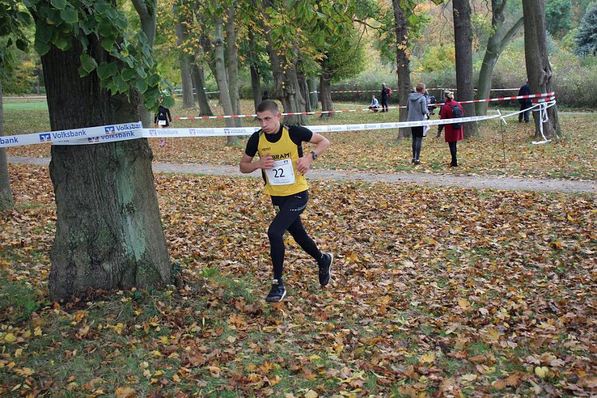 26. Stadtparklauf Sondershausen und...