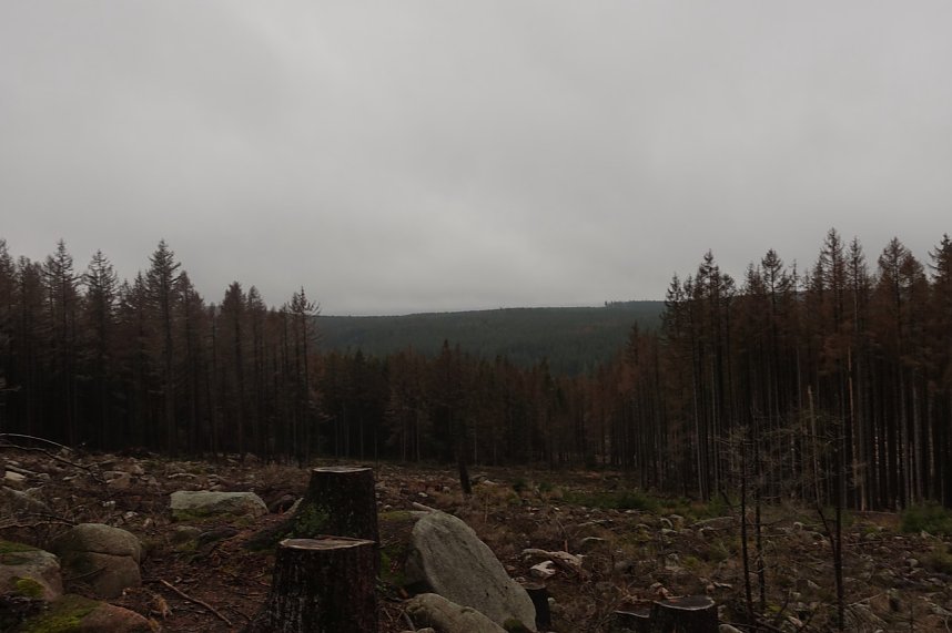 Heiligabend noch schnell auf den Brocken (2019)