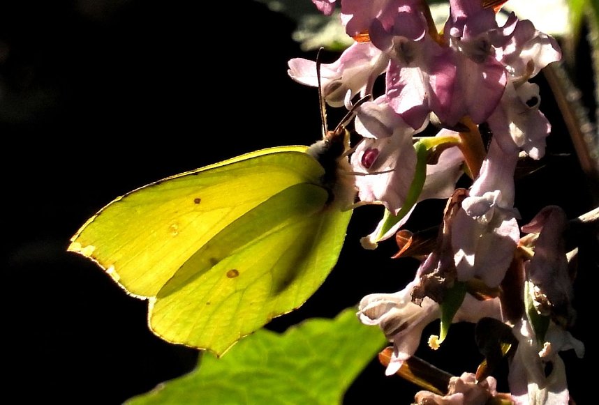Unterwegs im Brandesbachtal