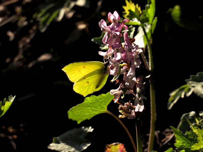 Unterwegs im Brandesbachtal