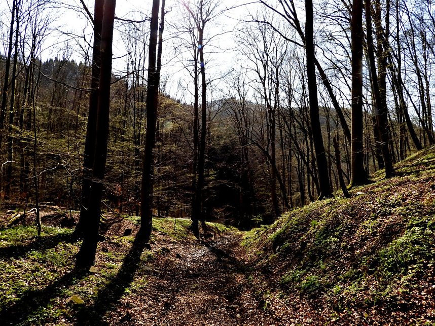 Unterwegs im Brandesbachtal