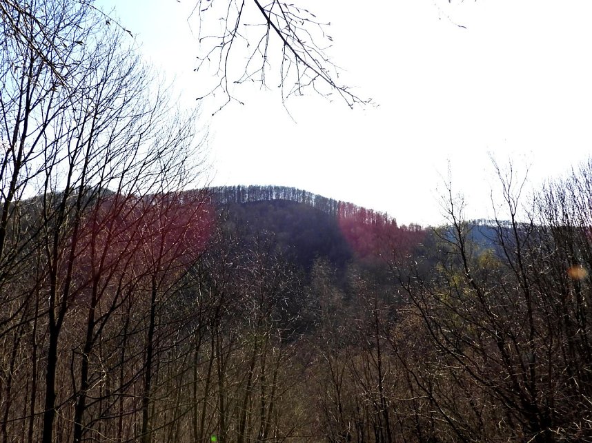 Unterwegs im Brandesbachtal