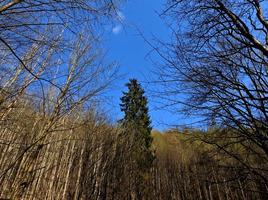 Unterwegs im Brandesbachtal