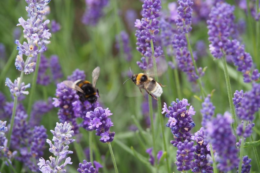 Impressionen aus Bad Langensalza