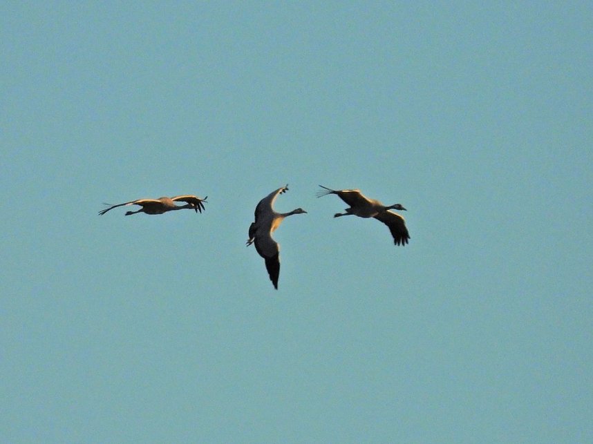 Peter Blei unterwegs am Stausee Kelbra