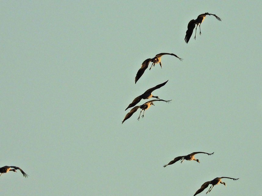 Peter Blei unterwegs am Stausee Kelbra