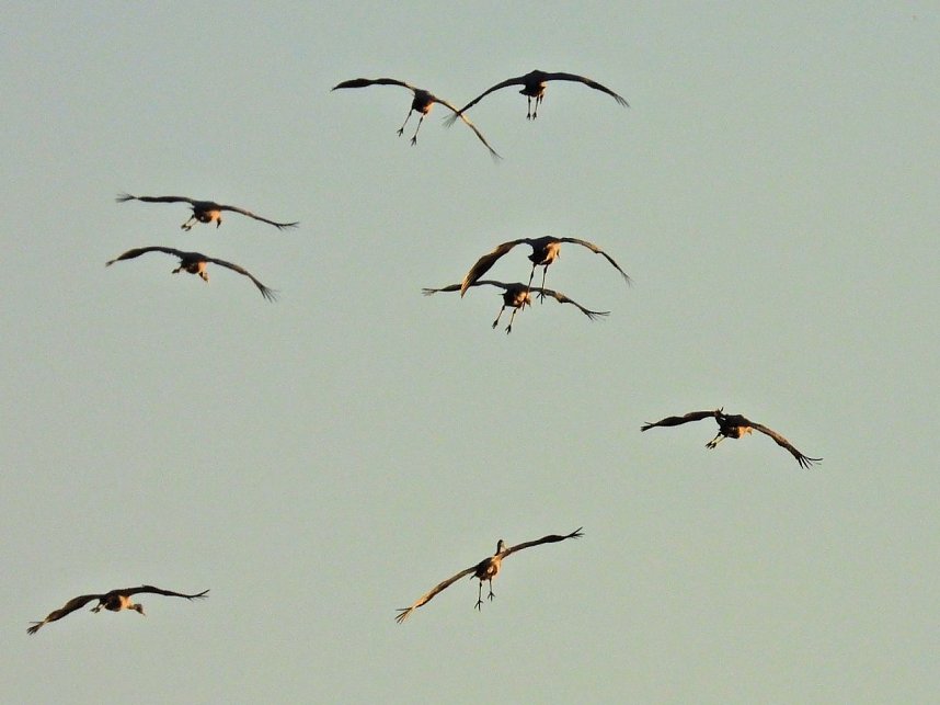 Peter Blei unterwegs am Stausee Kelbra