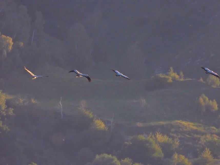 Peter Blei unterwegs am Stausee Kelbra