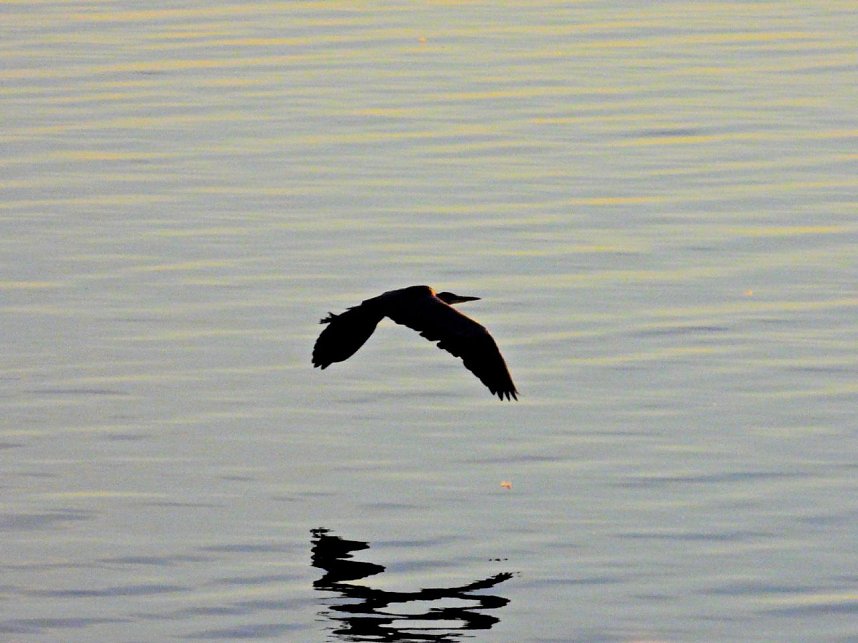 Peter Blei unterwegs am Stausee Kelbra