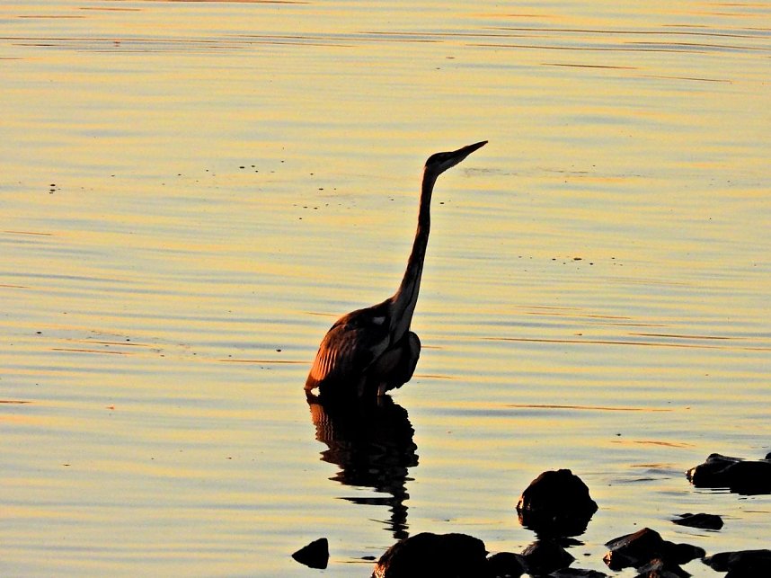 Peter Blei unterwegs am Stausee Kelbra