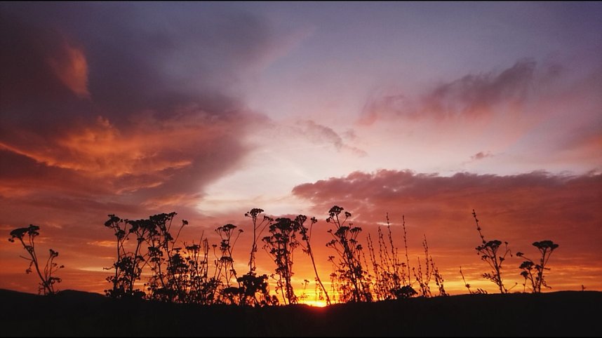 Sonnenaufgang bei Neustadt