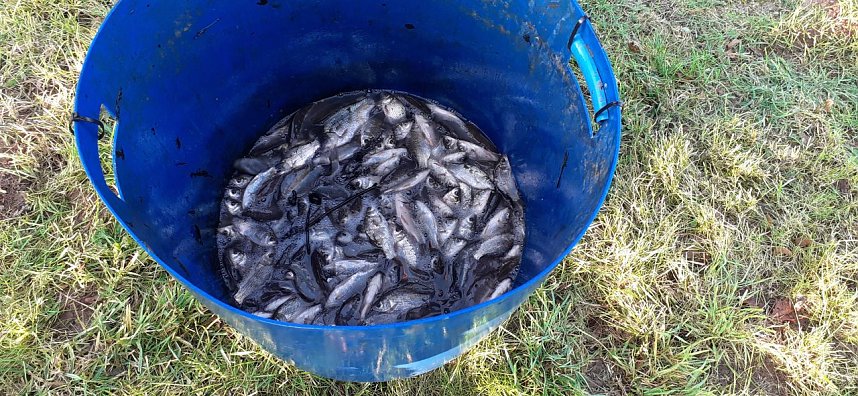 In Kelbra wurde abgefischt