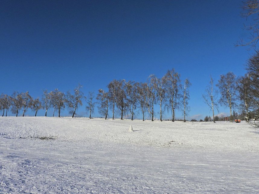 Winterliche Harzimpressionen