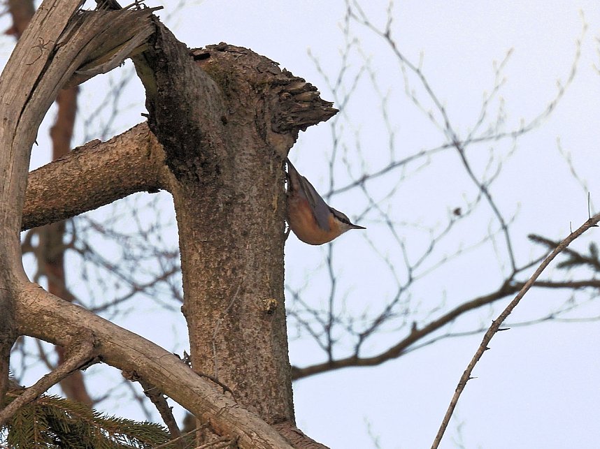 Ausflug zum Josephskreuz