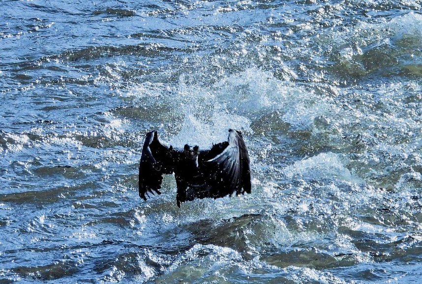 Ausfl&uuml;ge am Kiesschacht