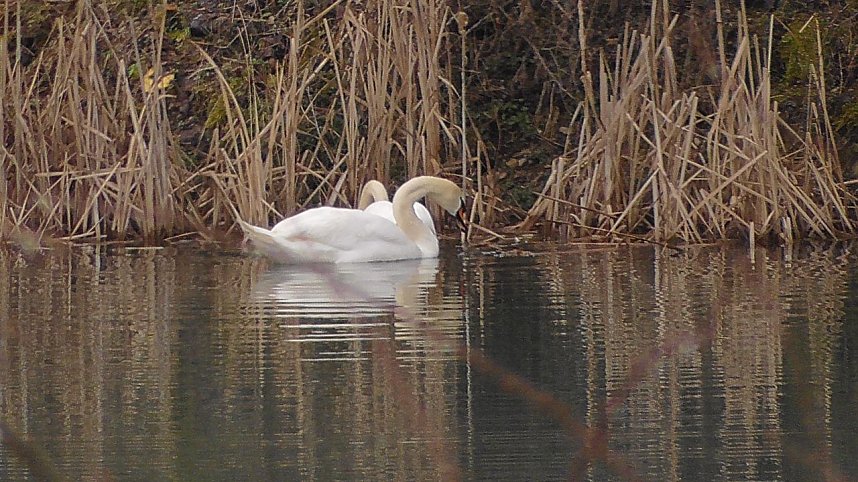 Alte Kiesgrube in Berga 