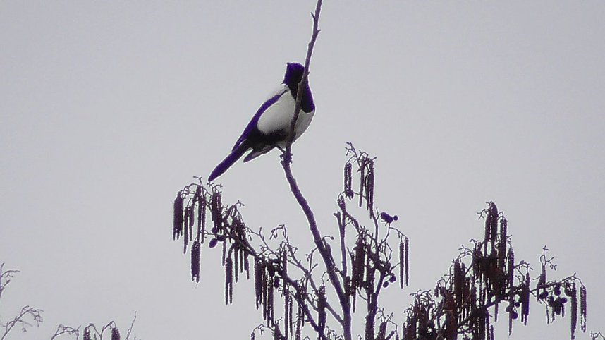 Alte Kiesgrube in Berga 