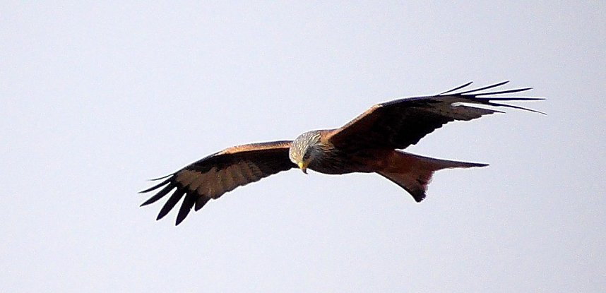 Alte Kiesgrube in Berga 