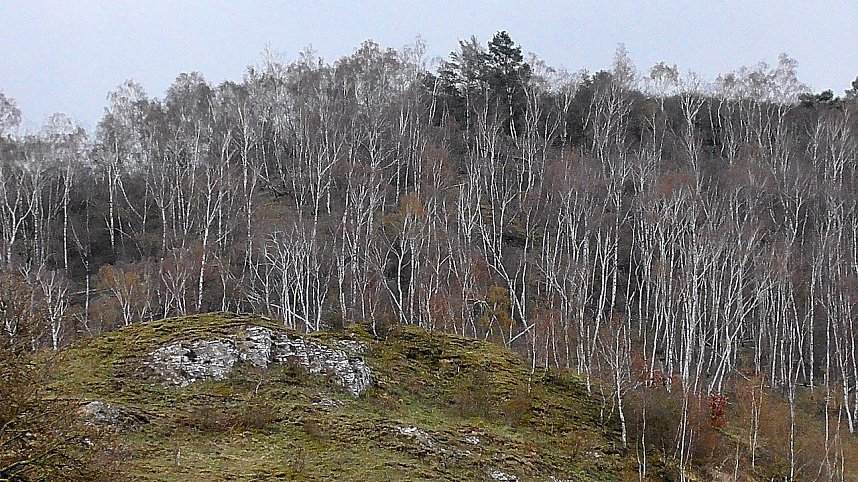 Unterwegs an der Numburg