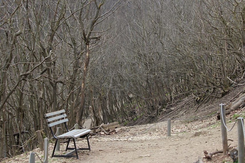 Besuch im Affenpark Strau&szlig;berg