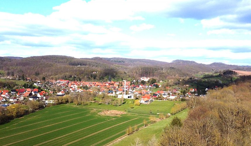 Neustadt und seine Holzlok