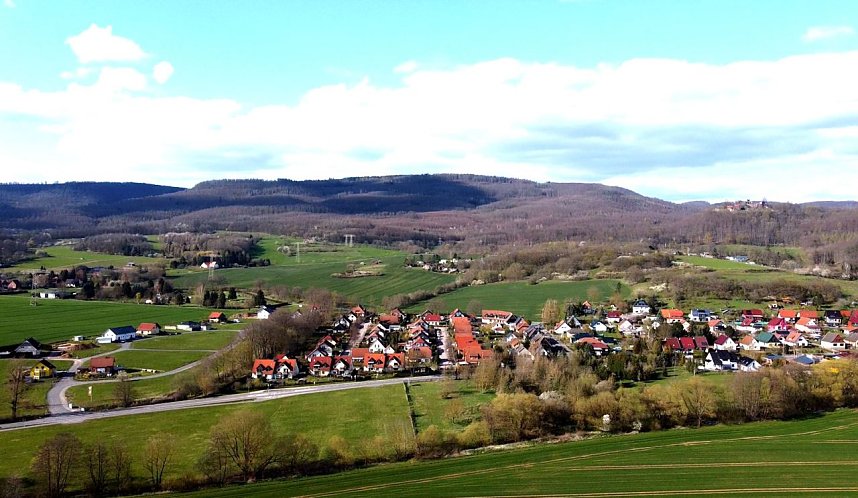 Neustadt und seine Holzlok