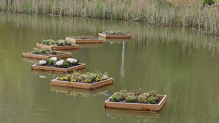 Schwimmende G&auml;rten 