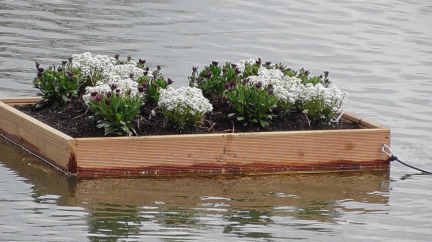 Schwimmende G&auml;rten 