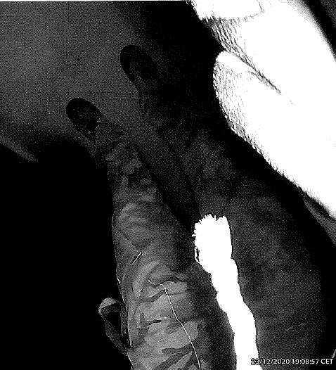 Wer kennt diesen T&auml;ter 