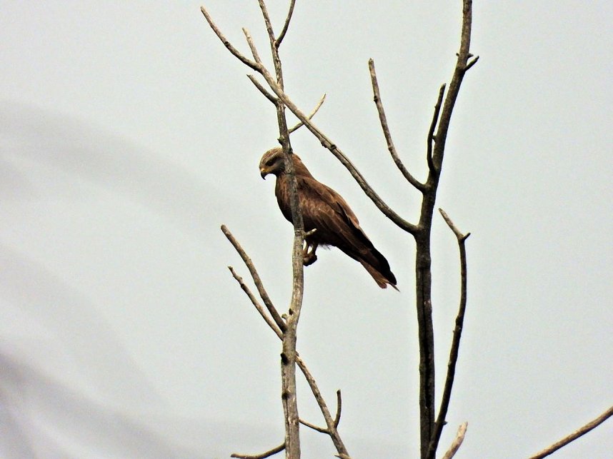 Ausflug zum Muldestausee