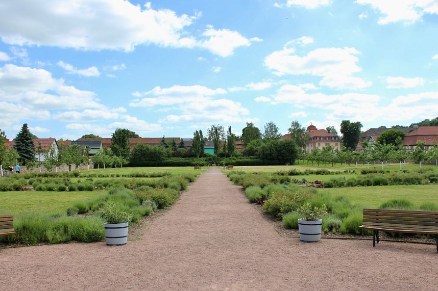 Orangerie in Bendeleben