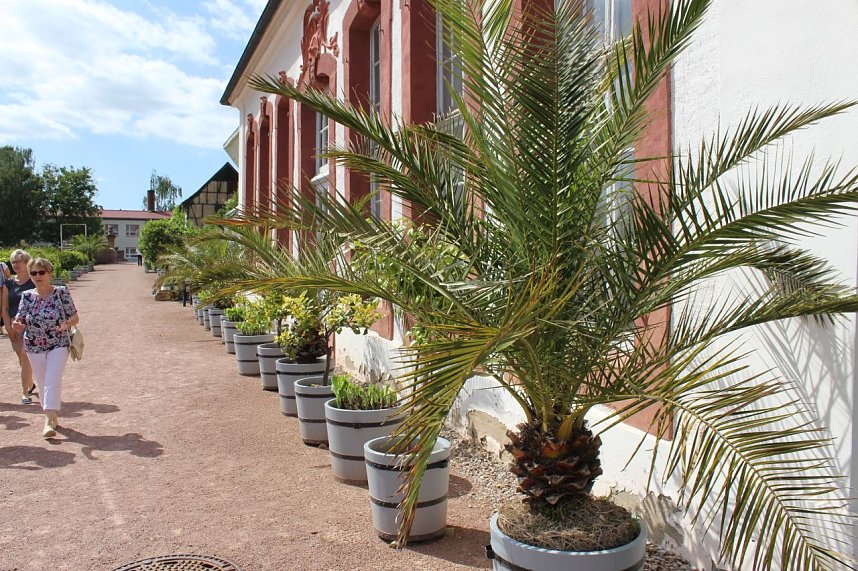 Orangerie in Bendeleben