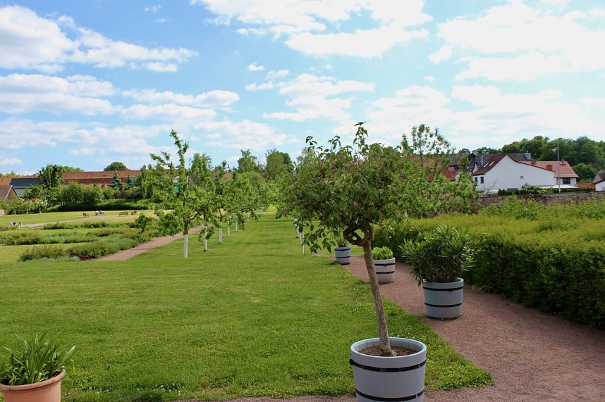 Orangerie in Bendeleben