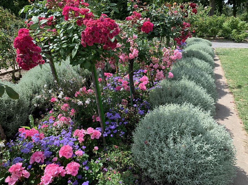 Europa Rosarium in Sangerhausen