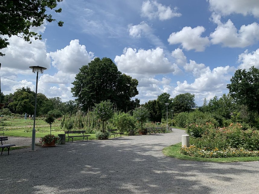 Europa Rosarium in Sangerhausen