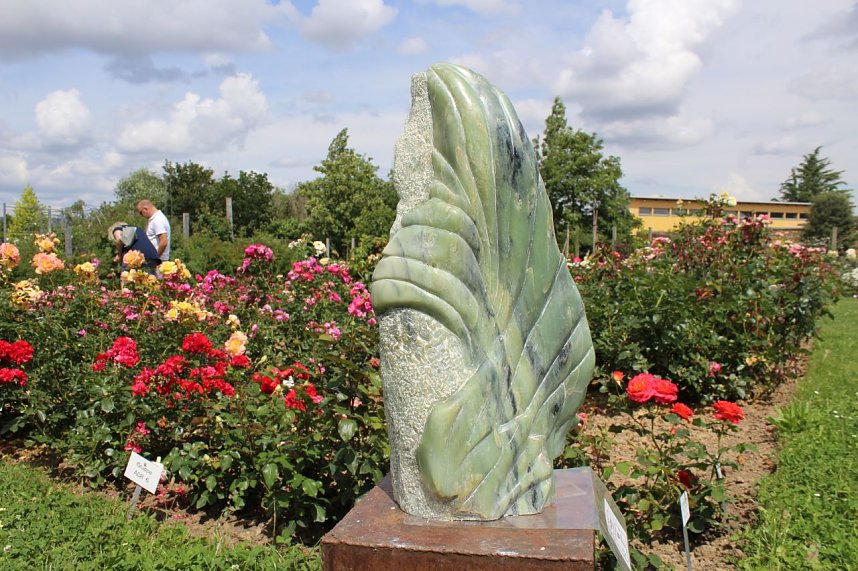 Europa Rosarium in Sangerhausen