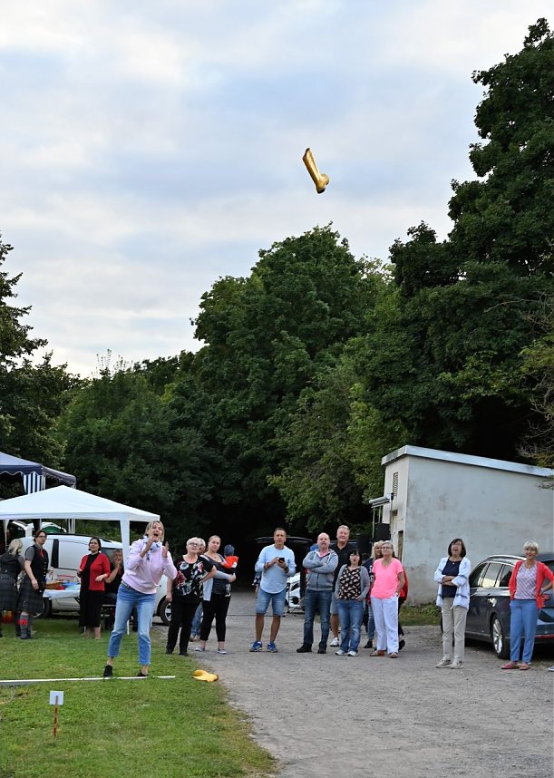 10. Br&uuml;hltal-Stra&szlig;enfest
