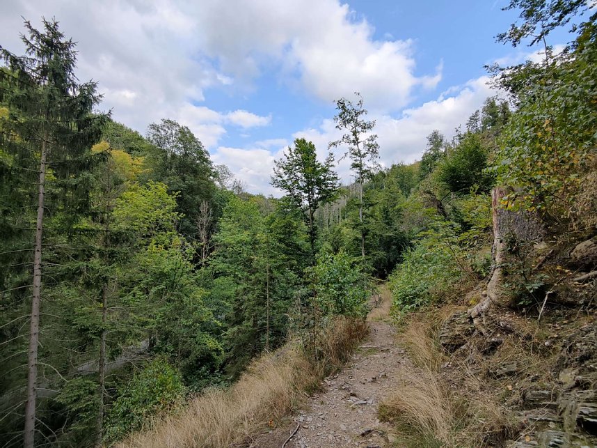 Vom M&auml;gdesprung zum Waldgagsthof