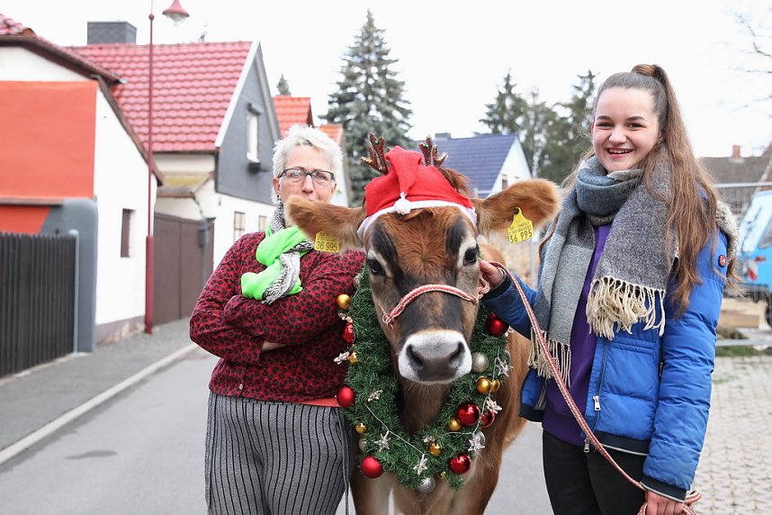 Adventsausflug mit dem Ochsen Tabaluga
