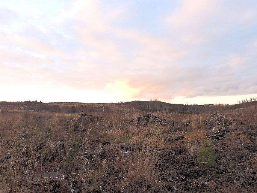 Peter Blei war im Harz unterwegs